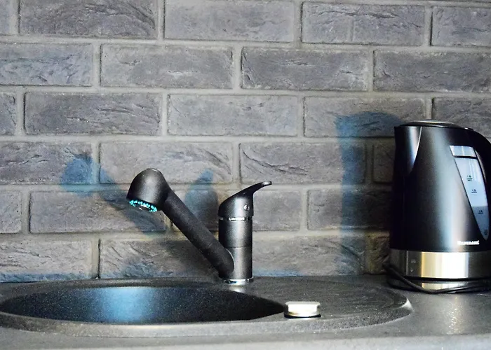 Homely Place Center 3*