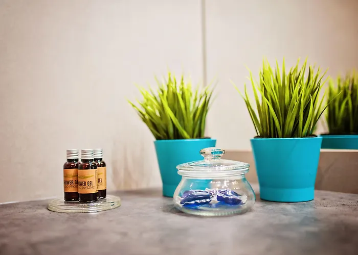 Homely Place Center 3*