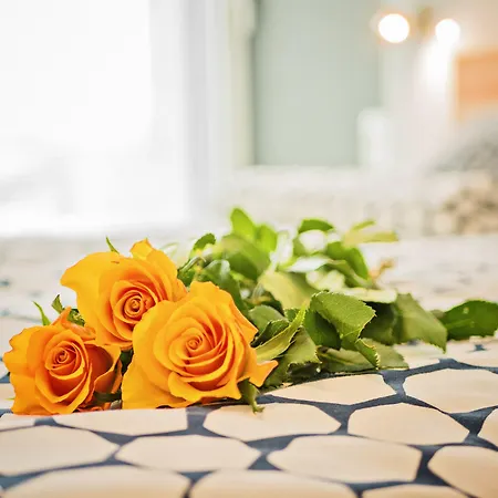Homely Place Center 포즈난