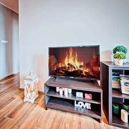 Homely Place Center 3* 포즈난