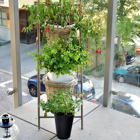 Homely Place Center Познань