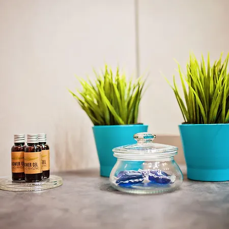 Homely Place Center 3*