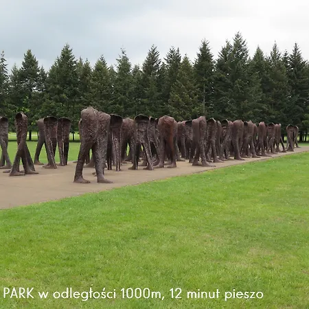 Homely Place Center Hotel