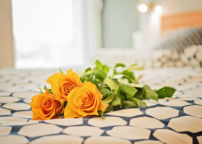 Homely Place Center Poznań