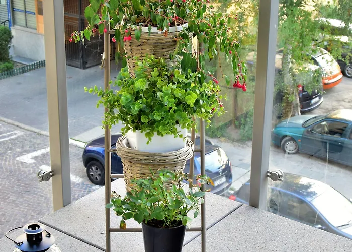 Homely Place Center Poznań